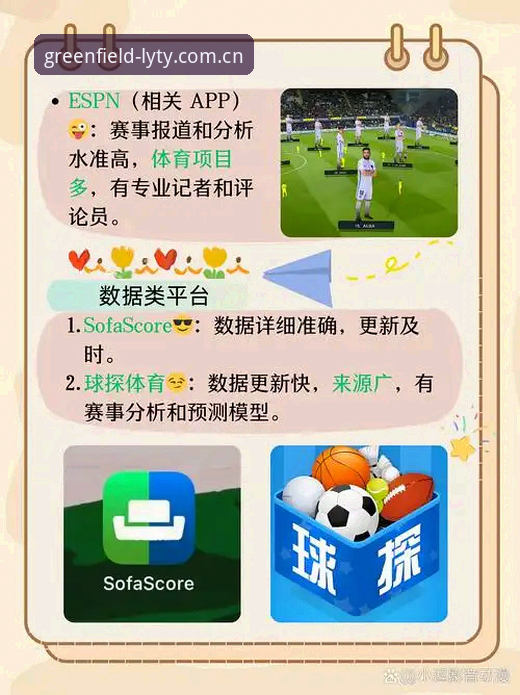 绿茵体育沉浸式观赛手机版实用指南：从安装到深度体验的必备知识